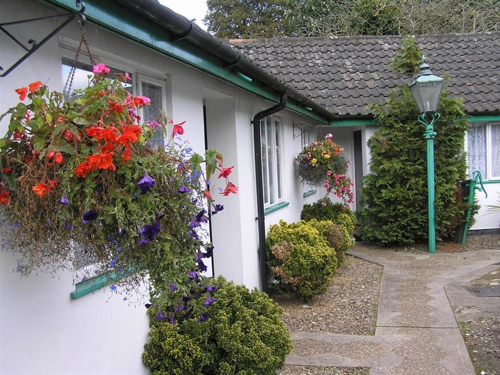 The Willow House Watton Exterior foto